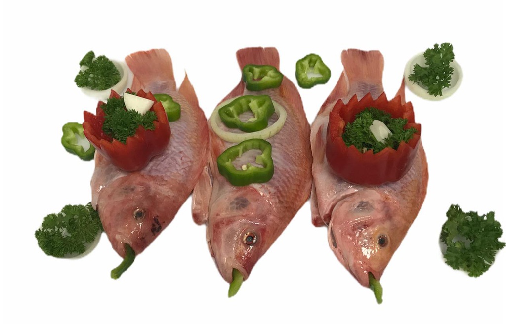 TILAPIA ROJA LIMPIA FRESCA LB