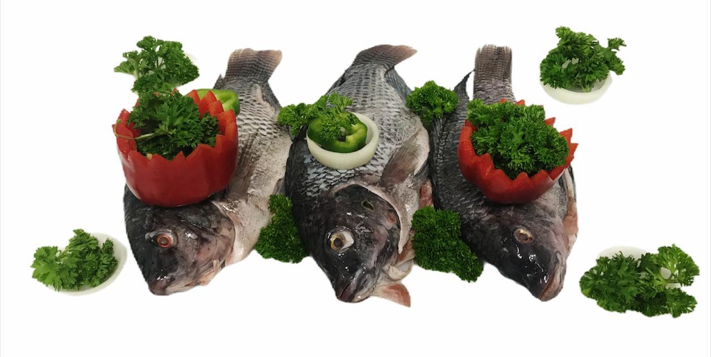 TILAPIA GRIS/NEGRA LIMPIA/ESCA