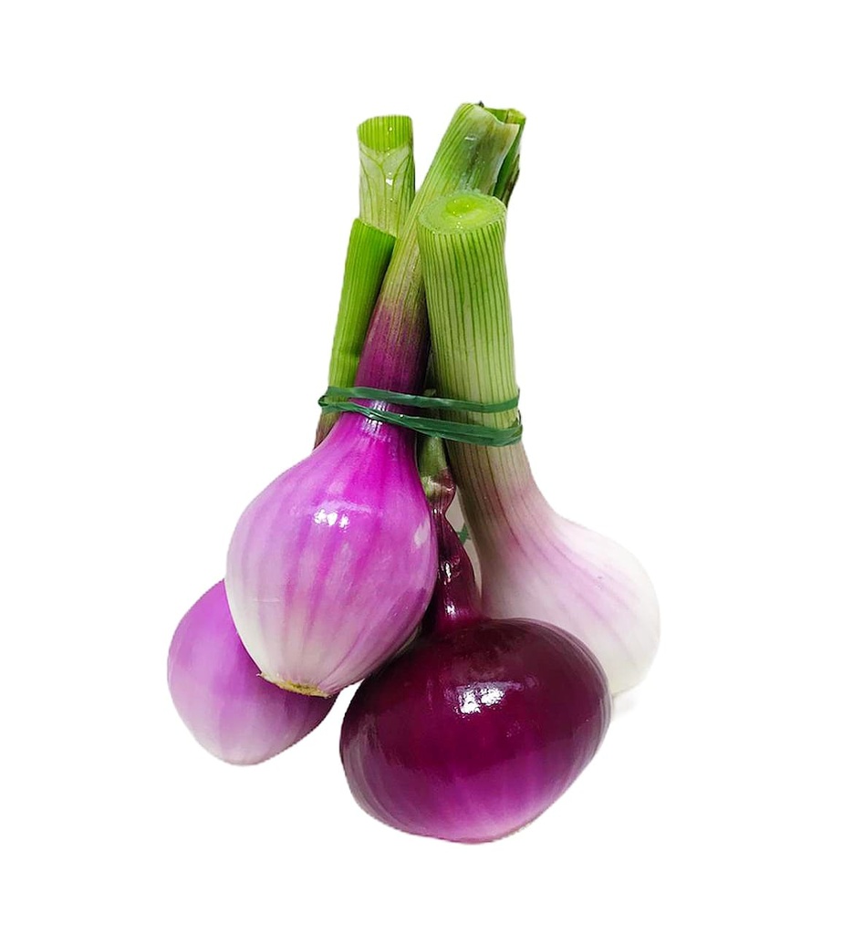 MAZO DE CEBOLLA ROJA/BLANCA