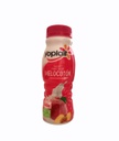 BAT GUR YOPLAIT MELOCOTON 235 