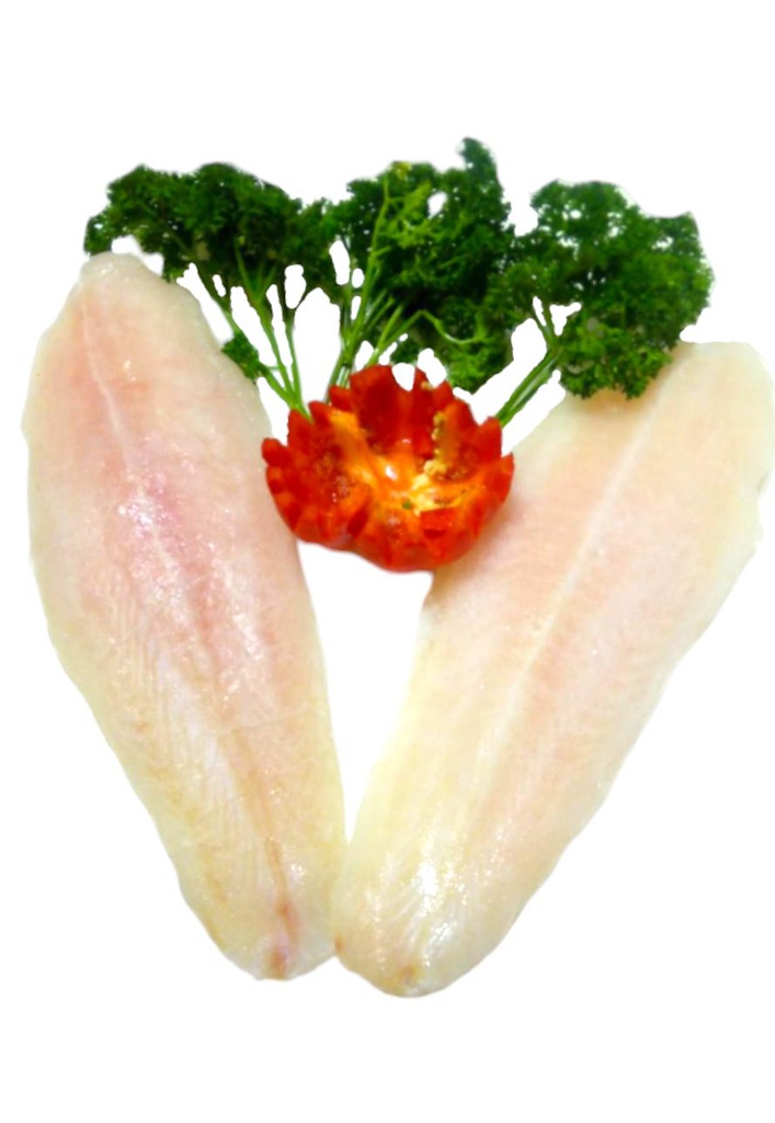 FILETE BASA DIGAB