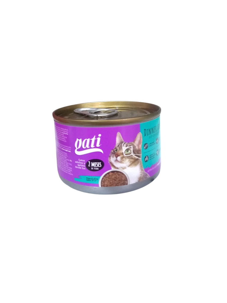 GATI DINNER ATUN 95GRS