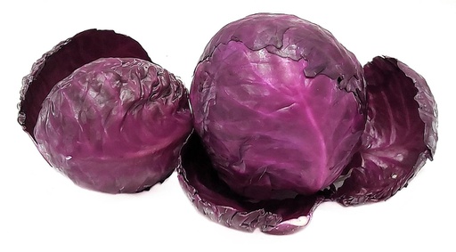 [10009] REPOLLO MORADO