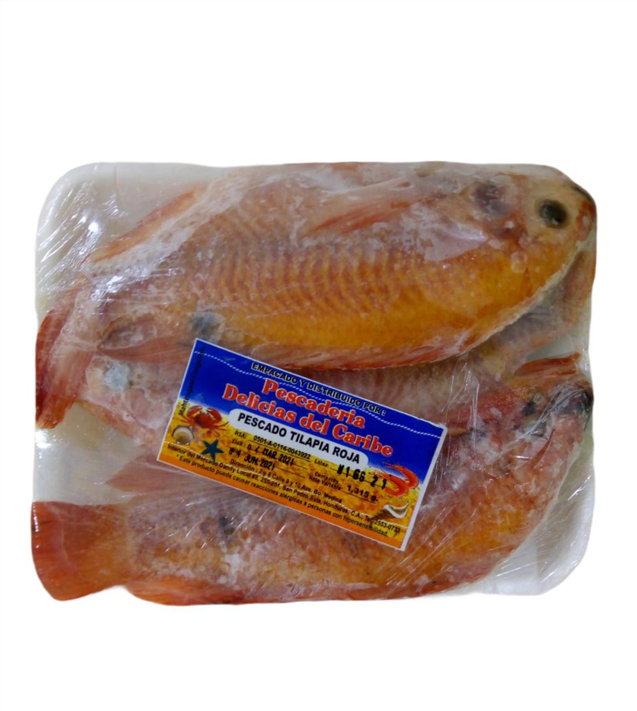 TILAPIA ROJA LIBRA DELICIAS