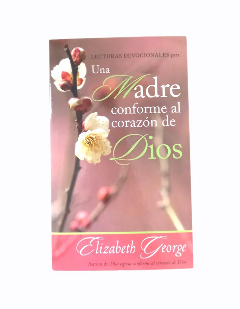 UNA MADRE CONFORME AL CORAZON DE DIOS