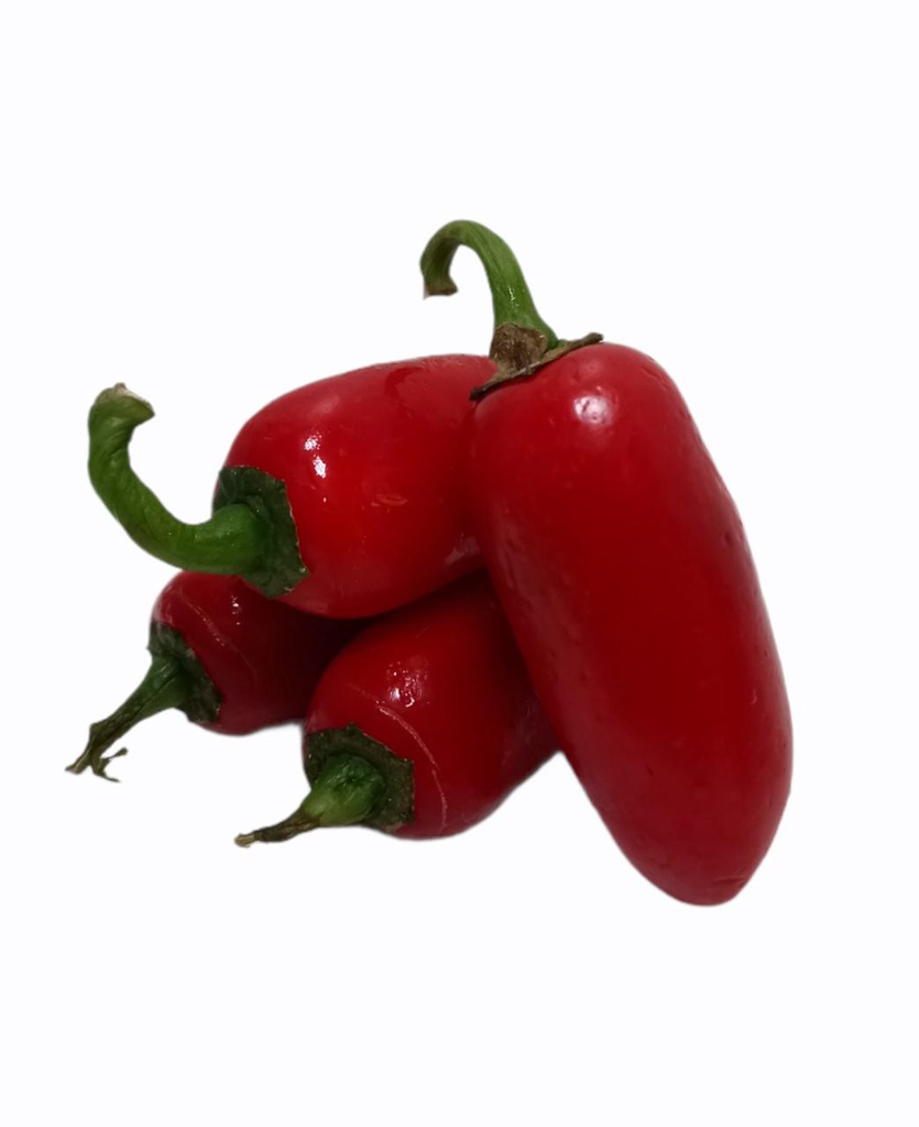 CHILE JALAPENO ROJO LIBRA