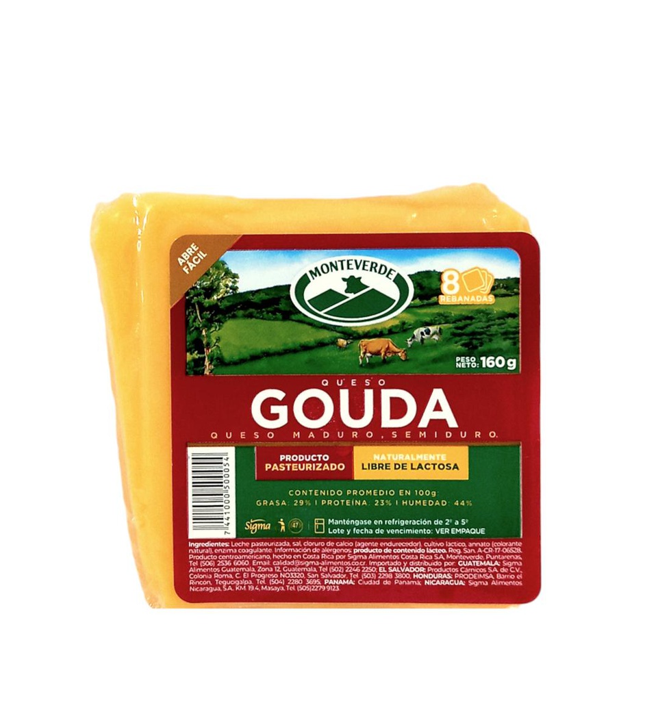 QUESO GOUDA MONTE VERDE 160G