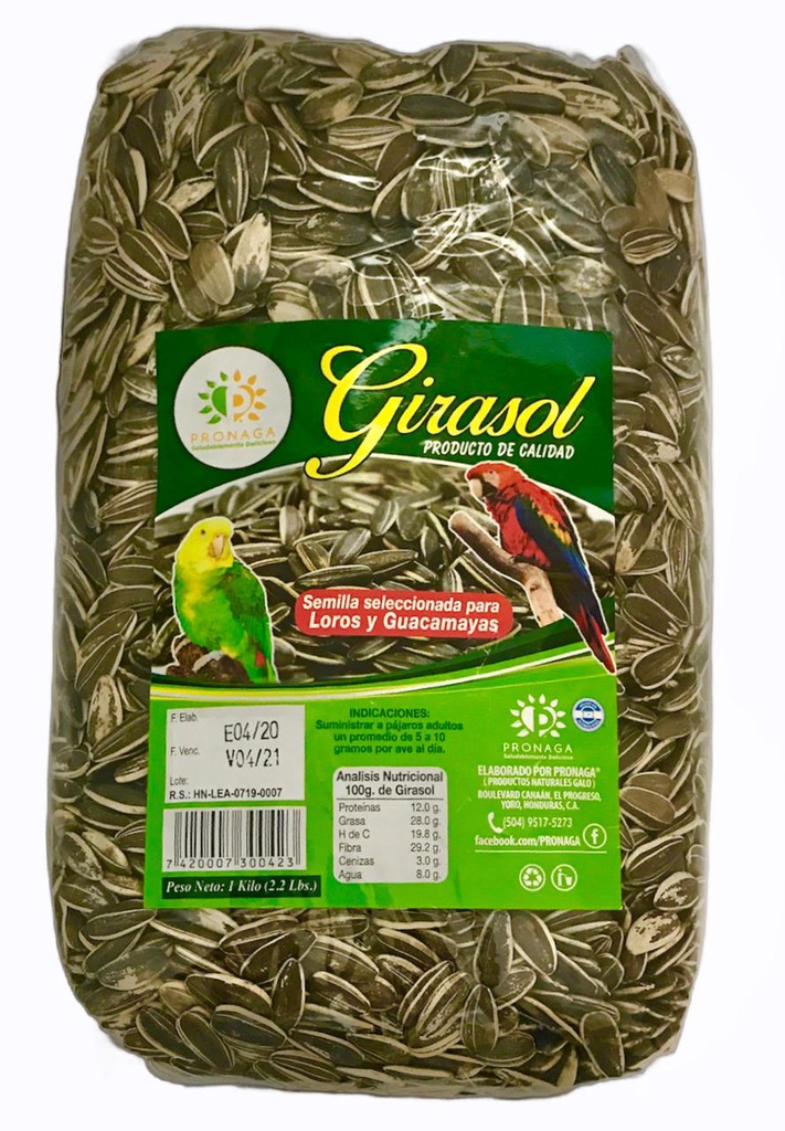 SEMILLA GIRASOL LOROS 2 2LBS P