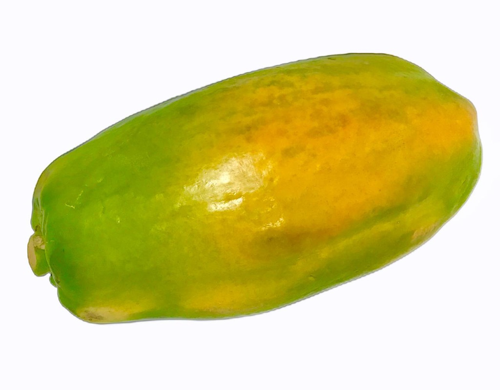 PAPAYA UNIDAD