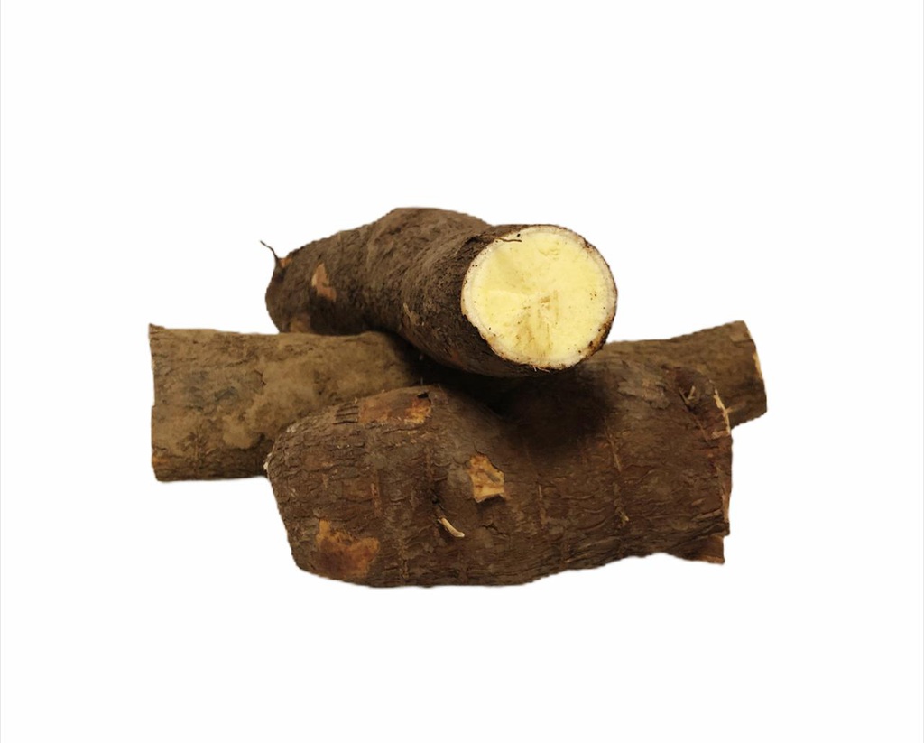 YUCA AMARILLA