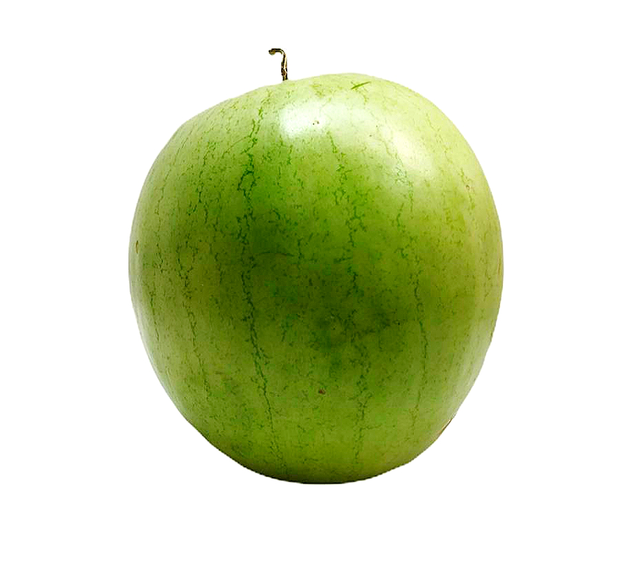 SANDIA GRANDE
