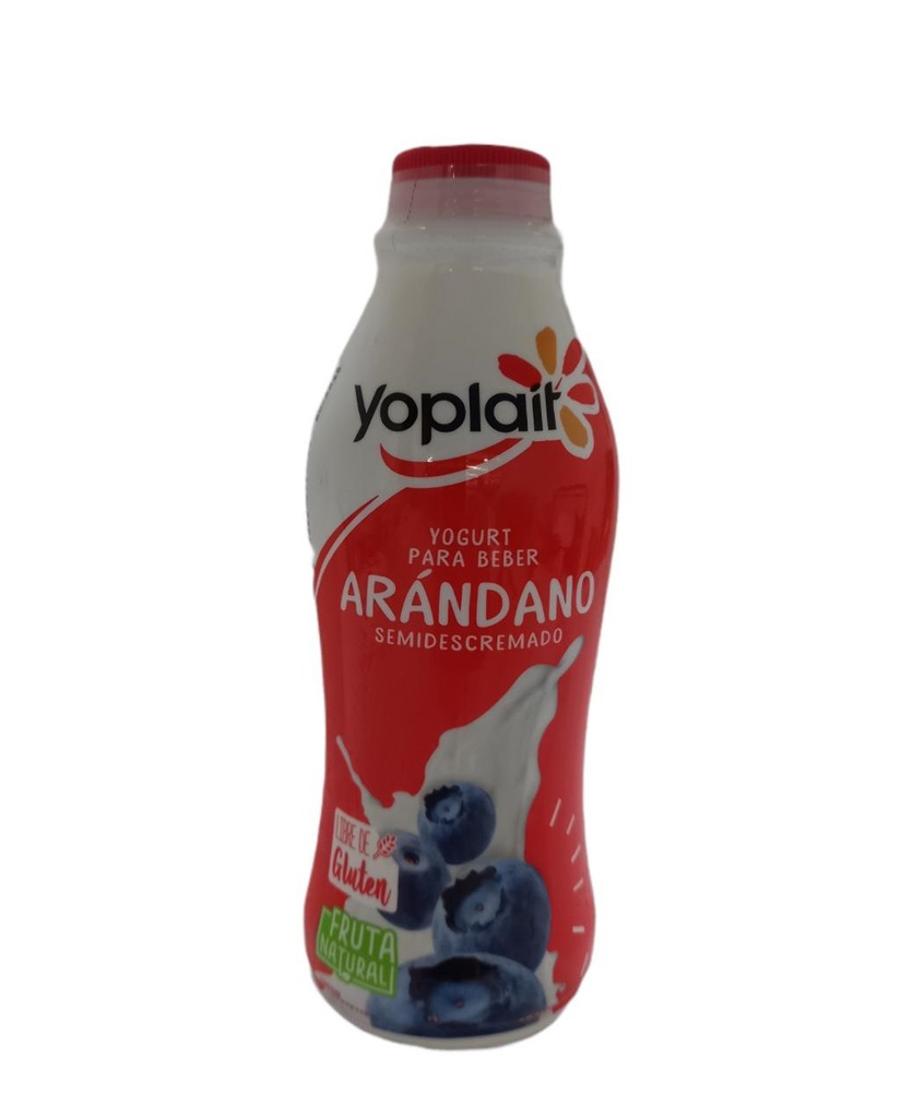 YOGURT ARANDANO 750G 