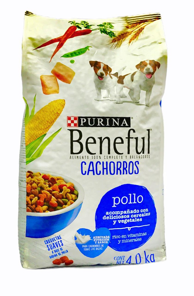 BENEFULL CACHORRO 4KG