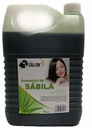 SHAMPOO DE SABILA 1GLN