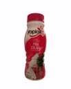 BAT GUR YOPLAIT PINA COLADA 23