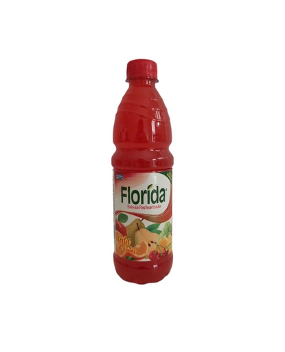 [7423085100114] JUGO FLORIDA PONCHE 500 