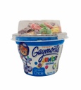 YOGURT GAYMONT JUNIOR CHICLE C