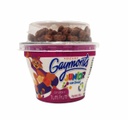 YOGURT GAYMONT JR TUTTIFRUTI