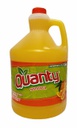 JUGO QUANTY NARANJA 1 GALON