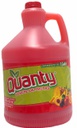 QUANTY PONCHE DE FRUTAS GALON