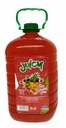 BEBIDA JUICY GUAVAPINA GALON L